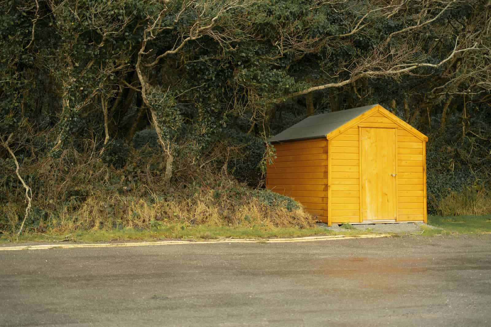 A garden storage shed in a backyard