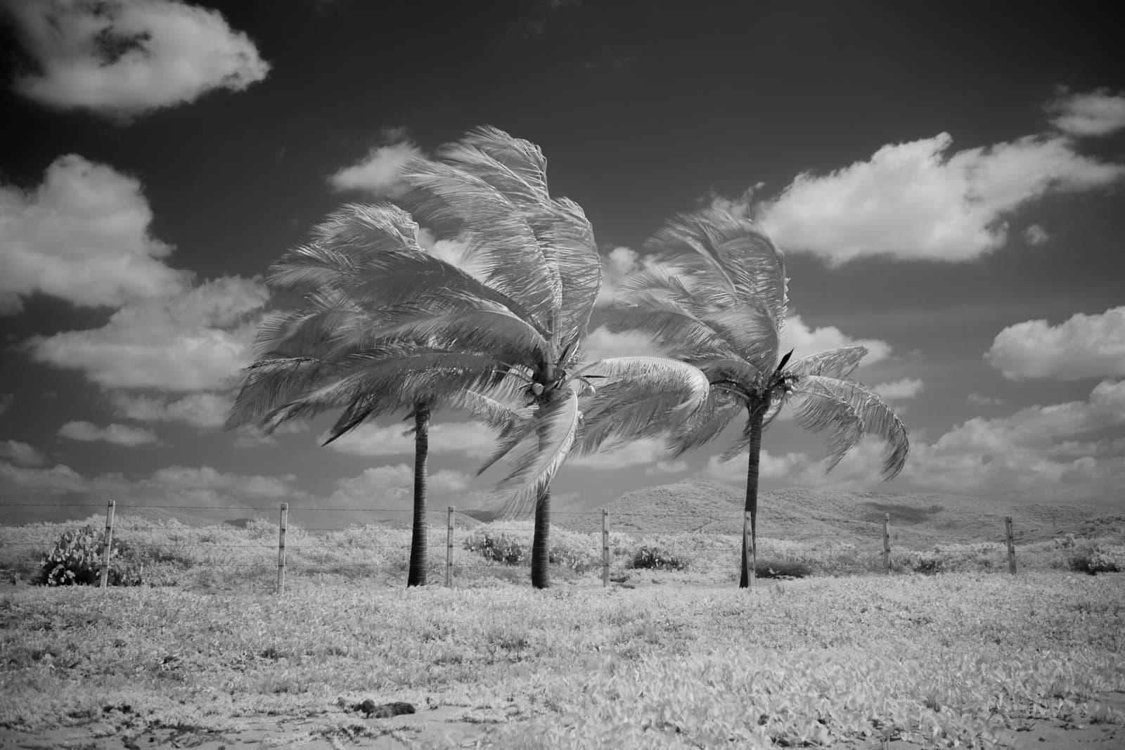 Wind moving through an outdoor seating area