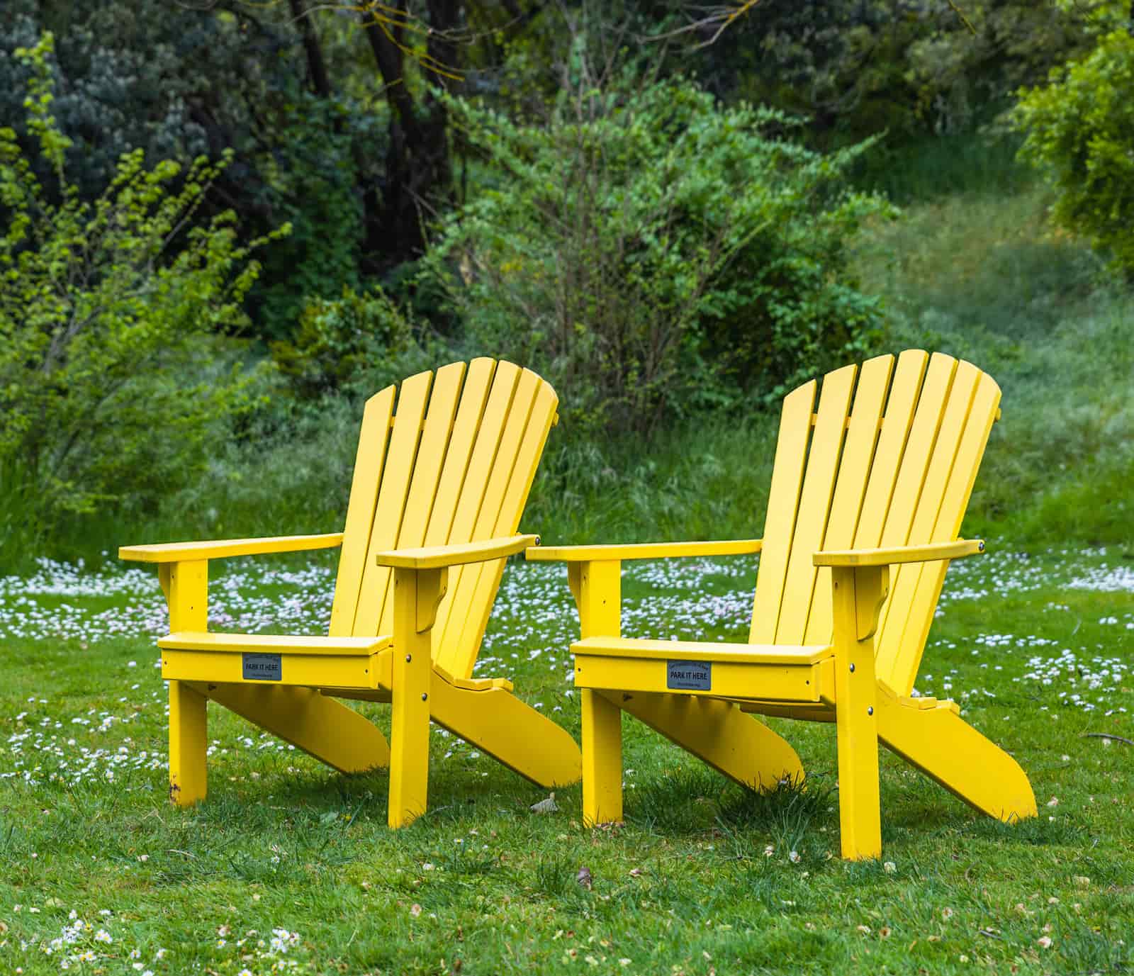 Teak Adirondack chair graying to a silver patina